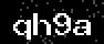 verify code