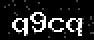 verify code