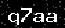 verify code