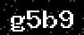 verify code