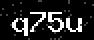 verify code
