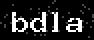 verify code