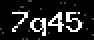 verify code