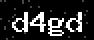verify code