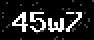 verify code