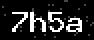 verify code